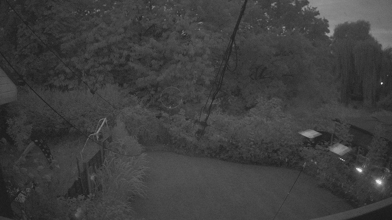 20260801_034221_cam1.jpg