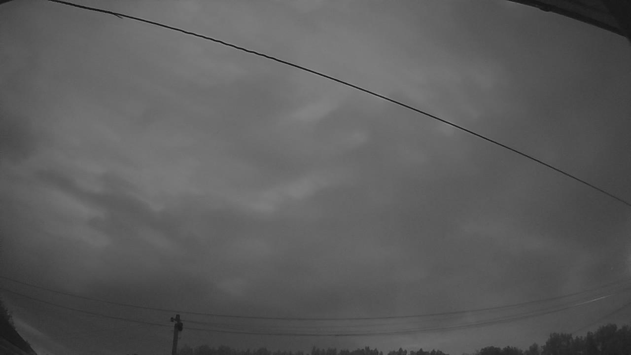 20260801_034222_cam2.jpg