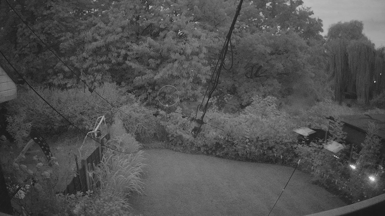 20260801_034706_cam1.jpg