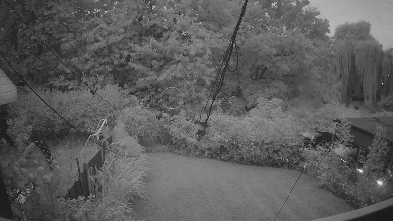 20260801_035151_cam1.jpg