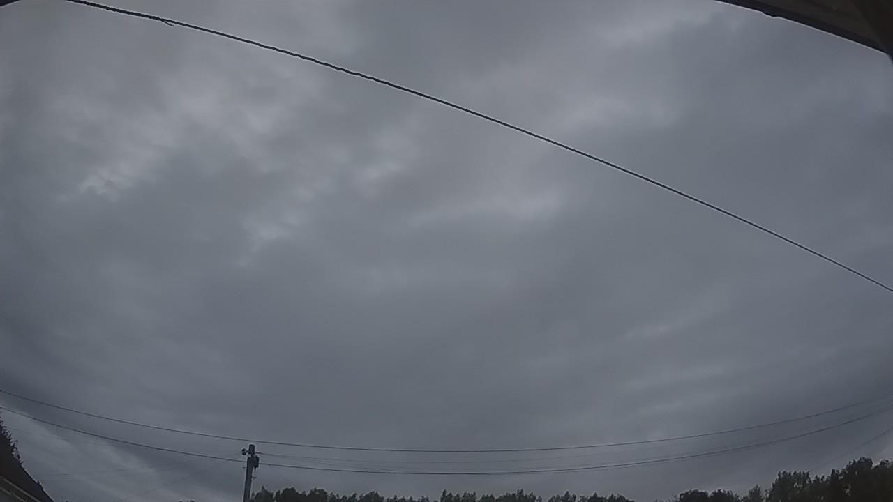 20260801_040113_cam2.jpg