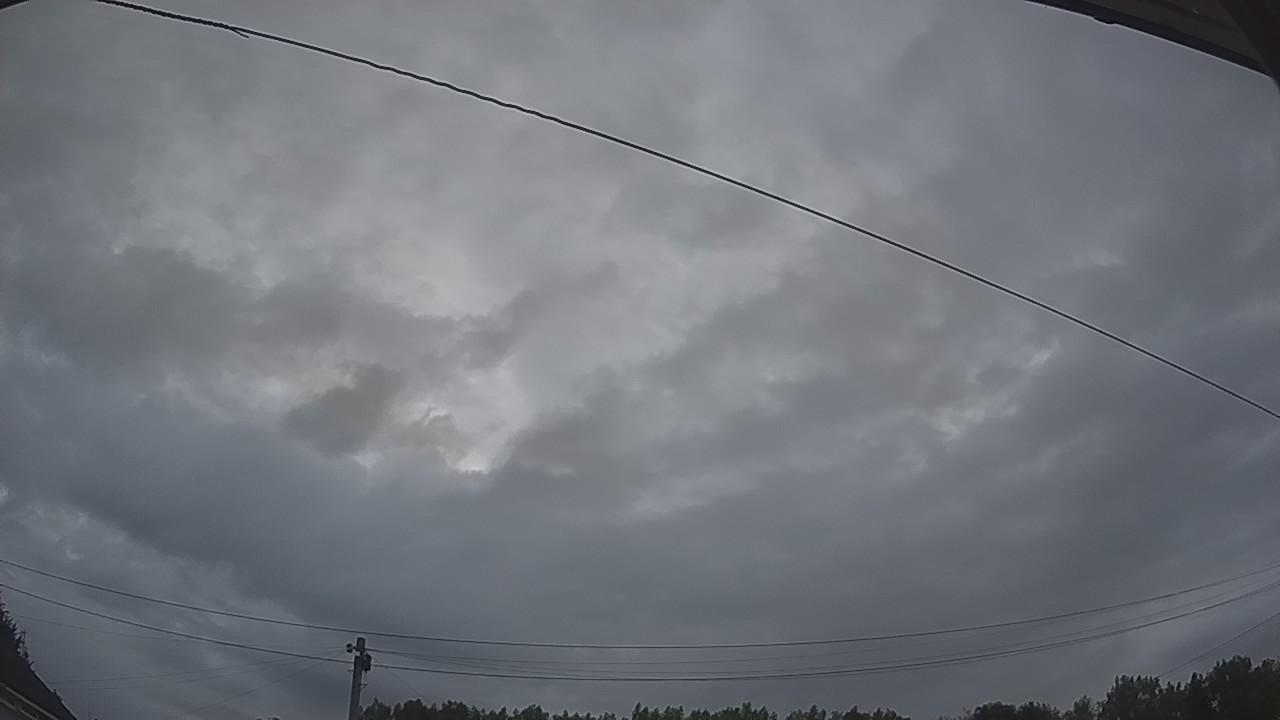 20260801_040549_cam2.jpg