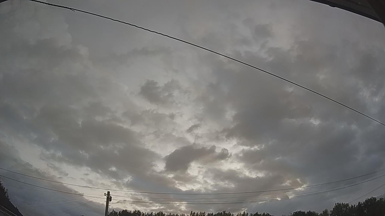 20260801_041937_cam2.jpg