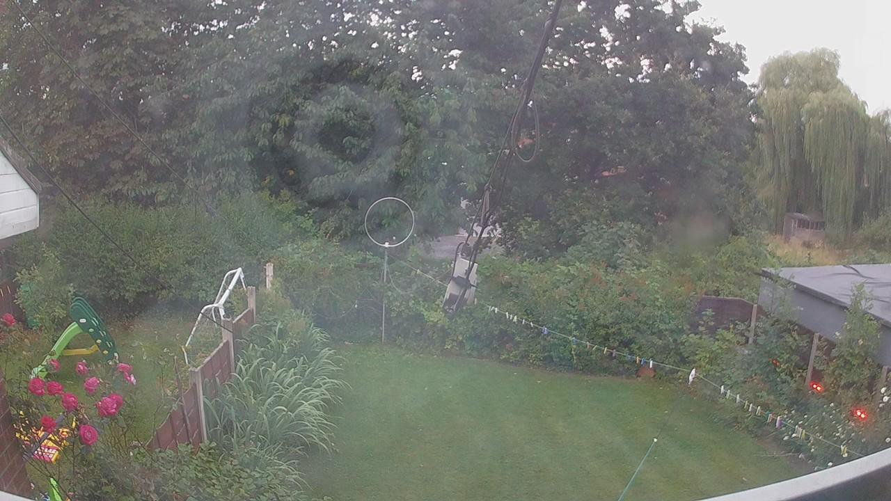 20260801_042412_cam1.jpg