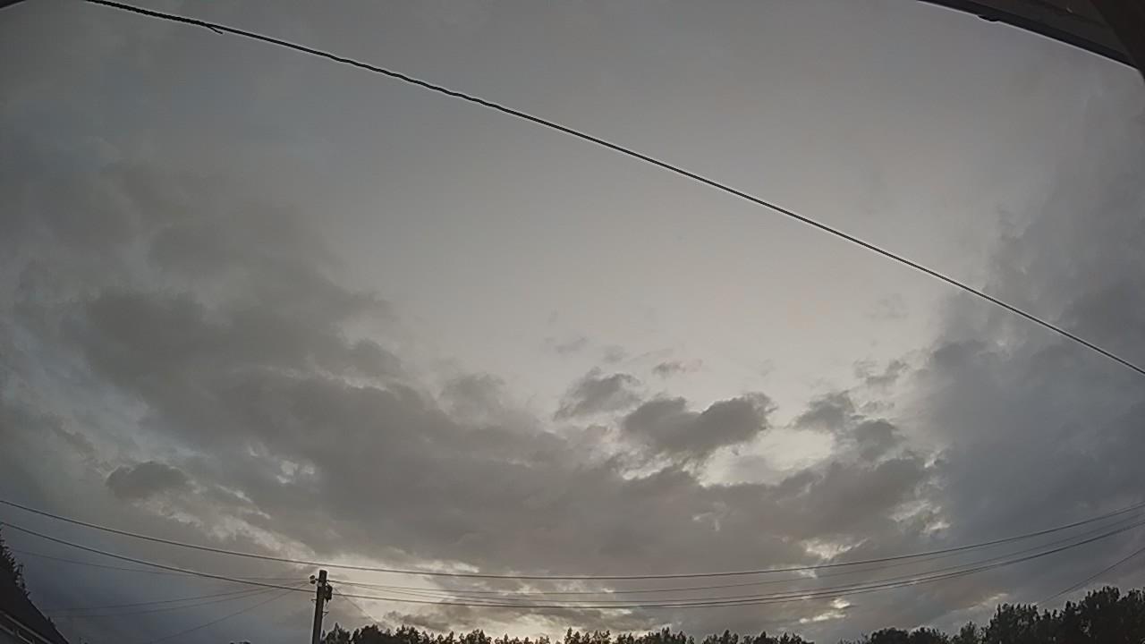 20260801_042413_cam2.jpg