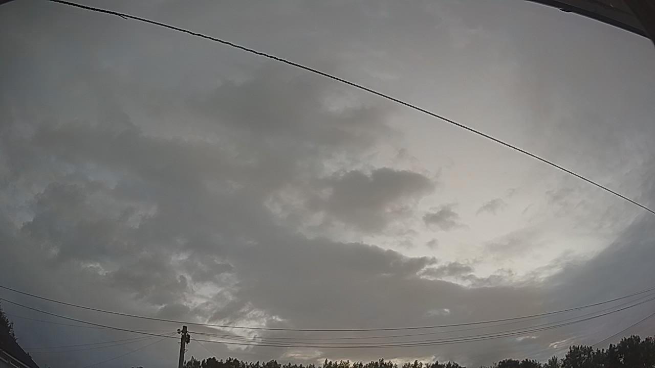 20260801_042849_cam2.jpg