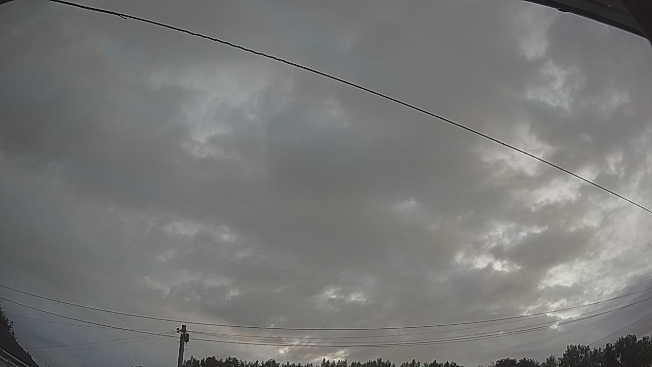 20260801_043334_cam2.jpg