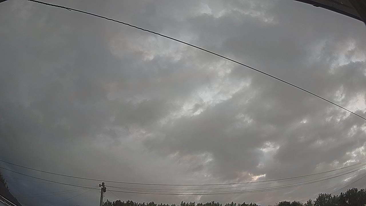 20260801_043819_cam2.jpg
