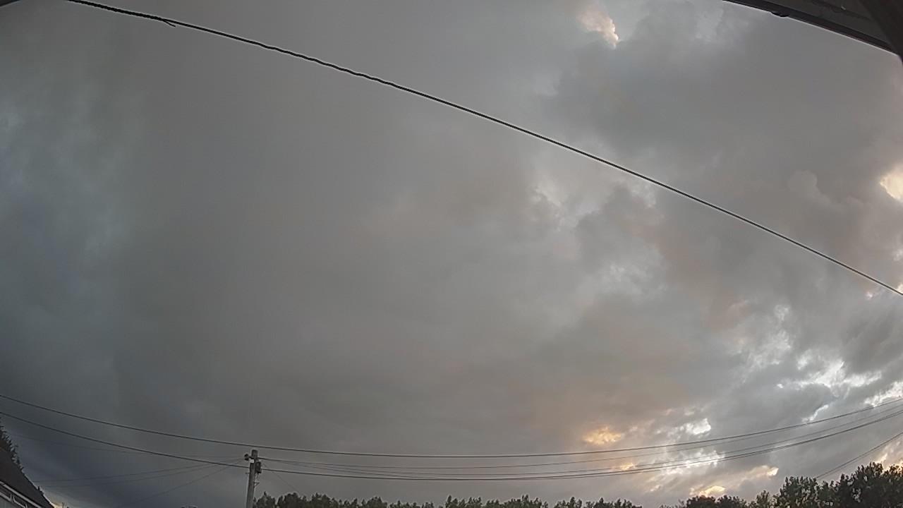 20260801_044304_cam2.jpg
