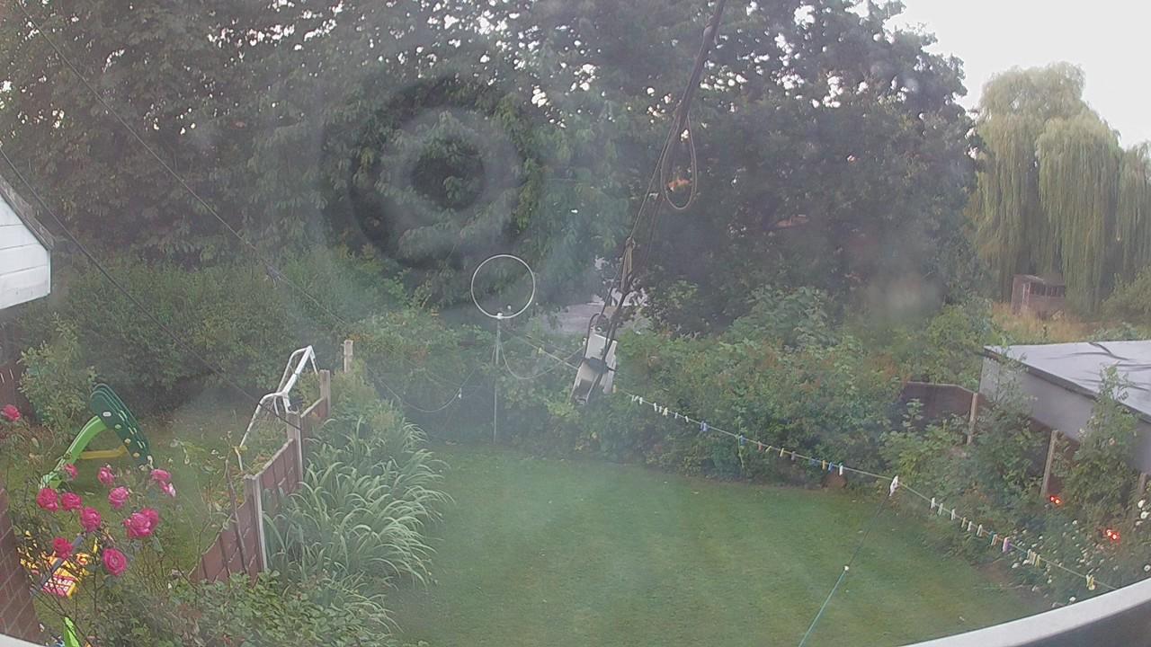 20260801_044748_cam1.jpg