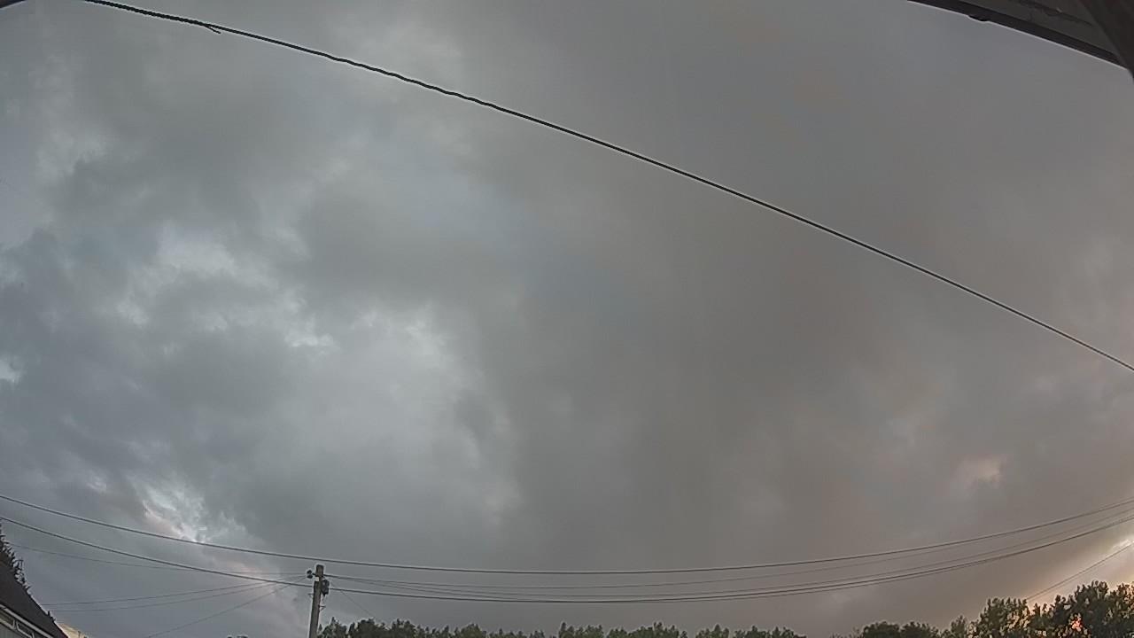 20260801_044749_cam2.jpg