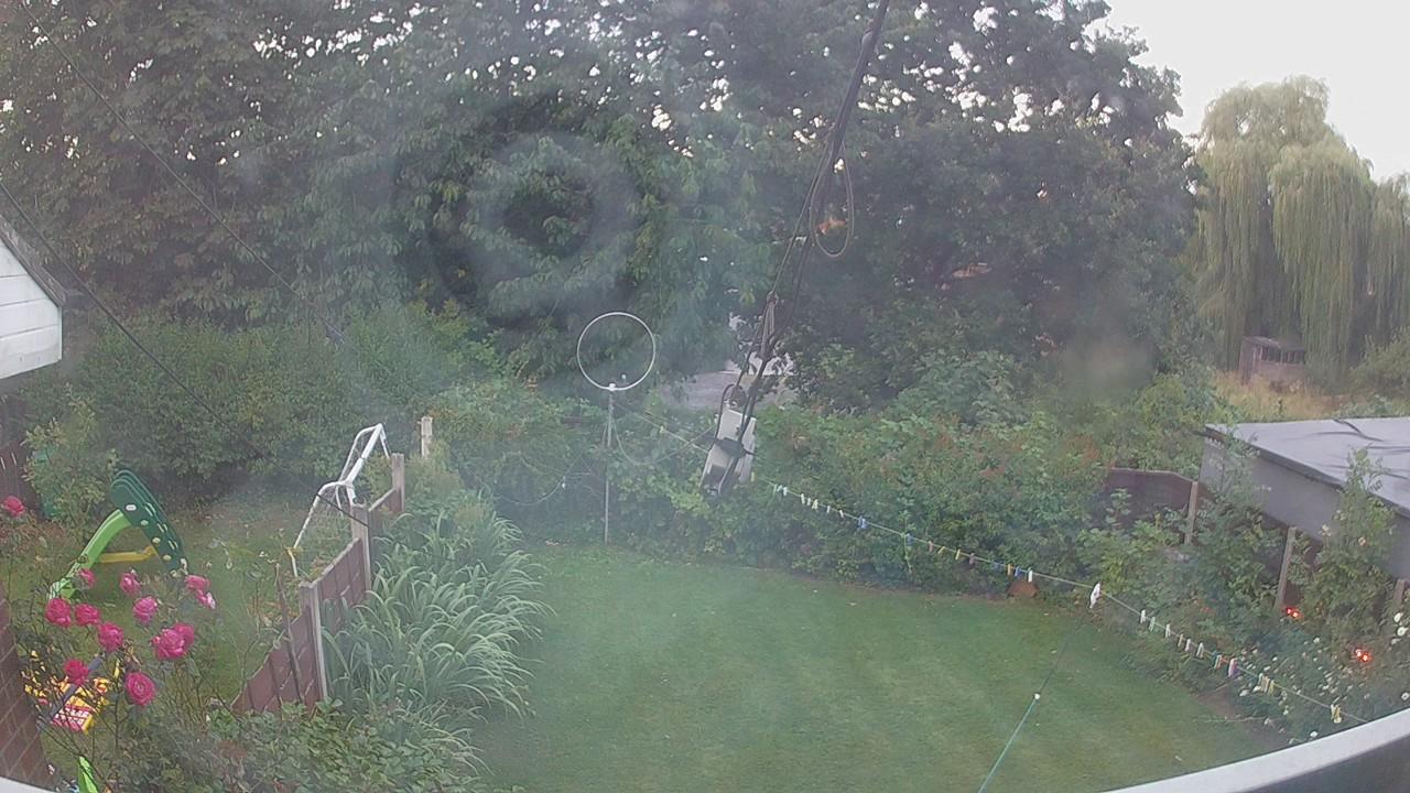 20260801_045233_cam1.jpg