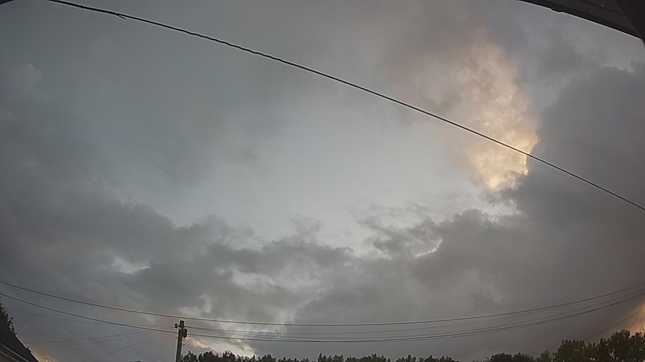 20260801_045234_cam2.jpg