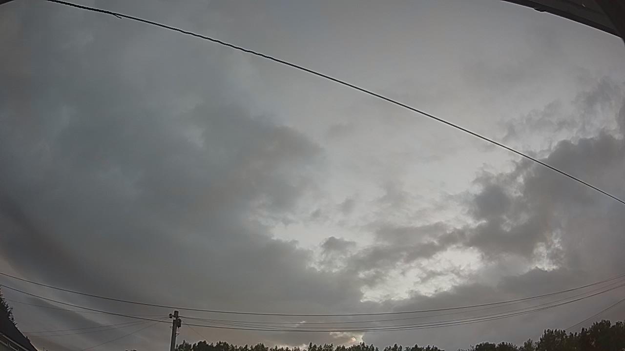 20260801_045719_cam2.jpg