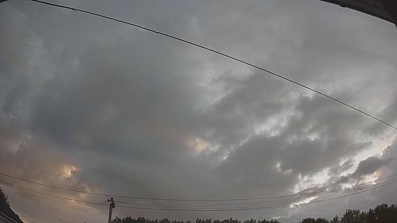 20260801_050155_cam2.jpg