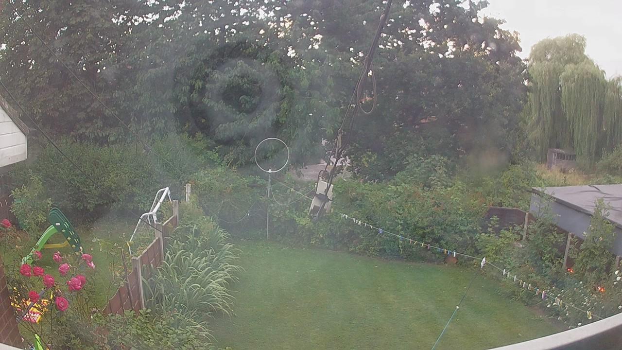 20260801_050630_cam1.jpg