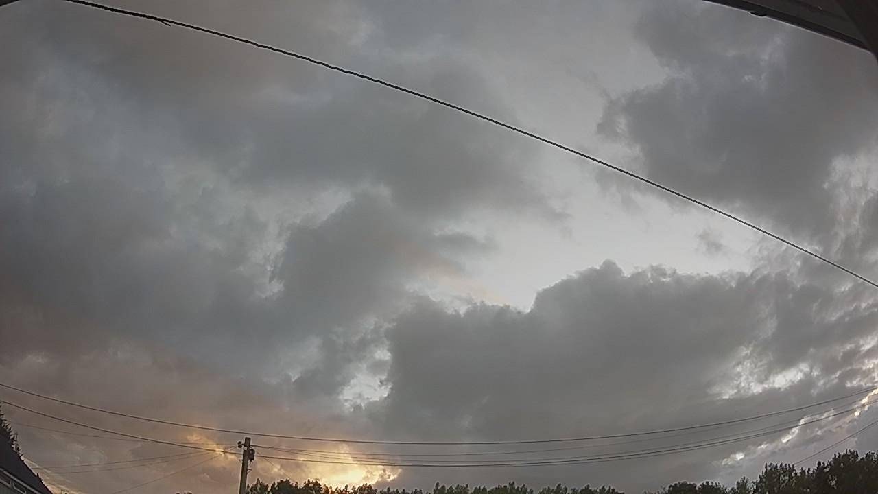 20260801_050631_cam2.jpg