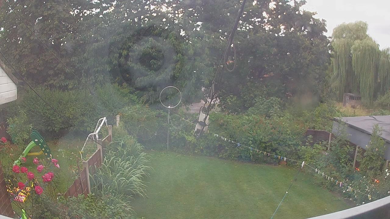 20260801_051106_cam1.jpg