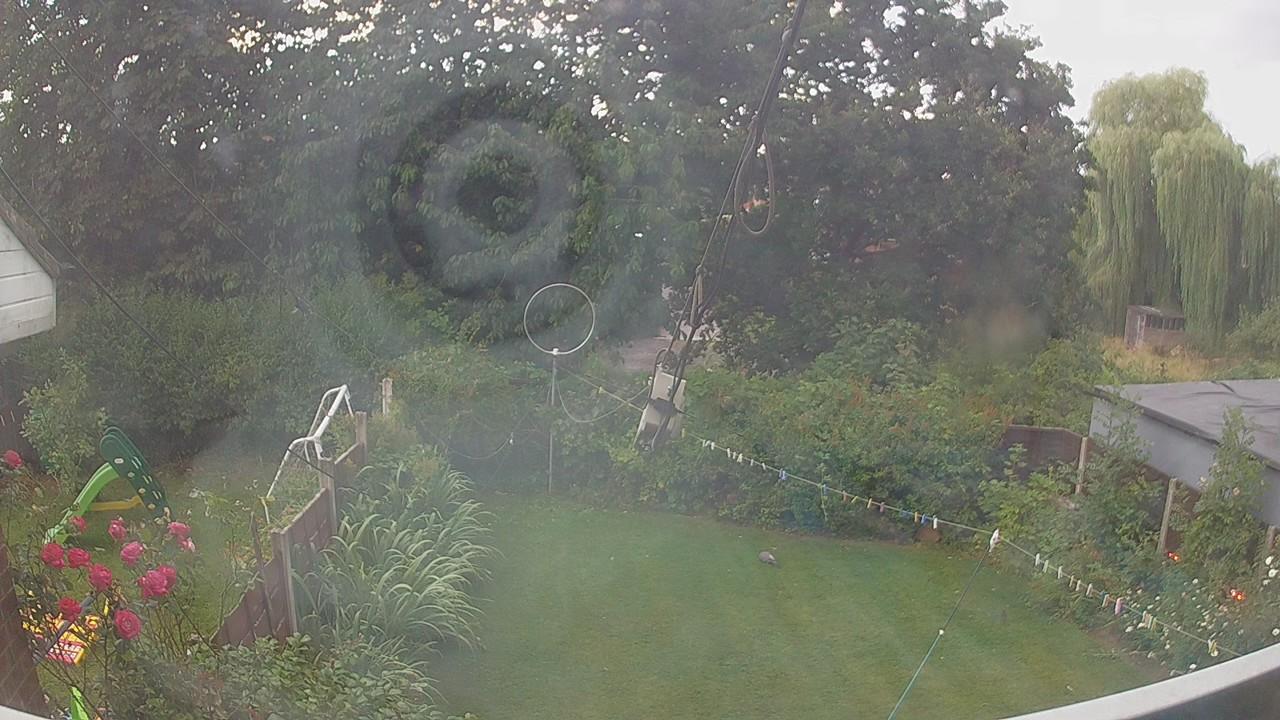 20260801_051542_cam1.jpg