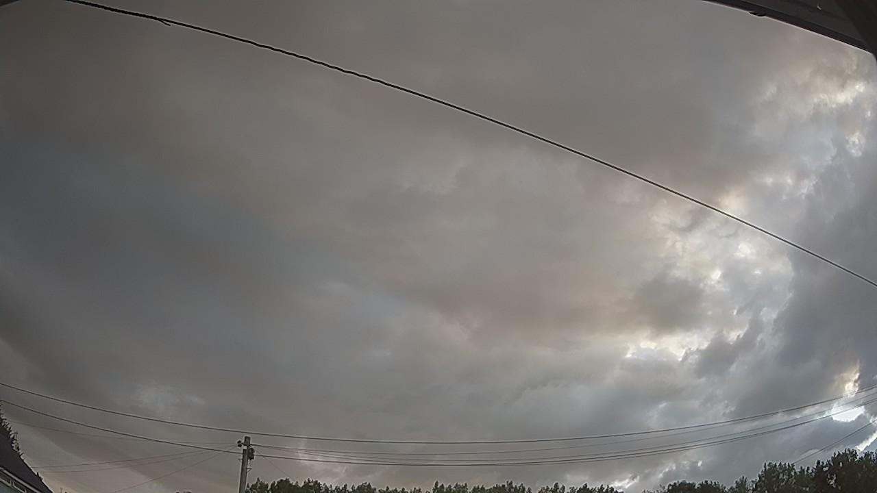 20260801_051543_cam2.jpg
