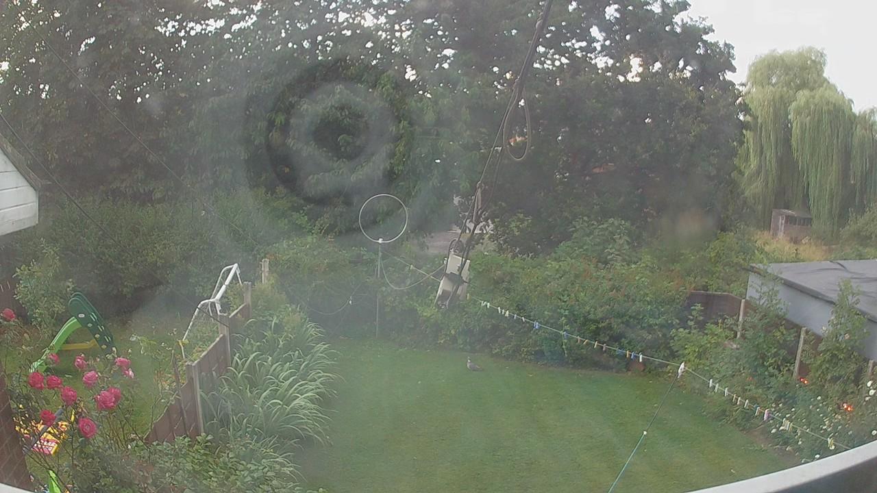20260801_052018_cam1.jpg