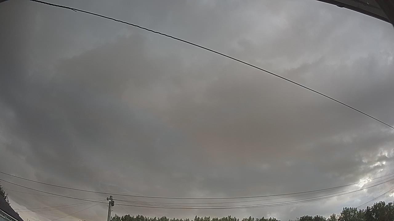 20260801_052019_cam2.jpg
