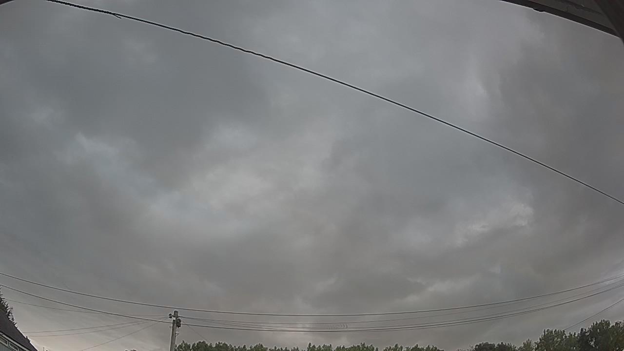 20260801_052930_cam2.jpg