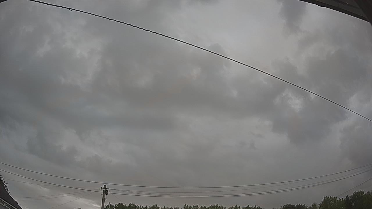20260801_054317_cam2.jpg