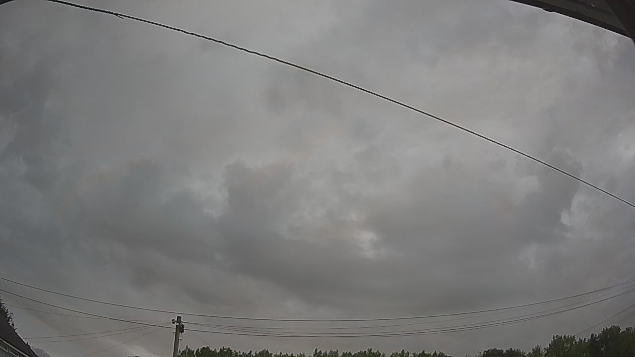 20260801_054752_cam2.jpg
