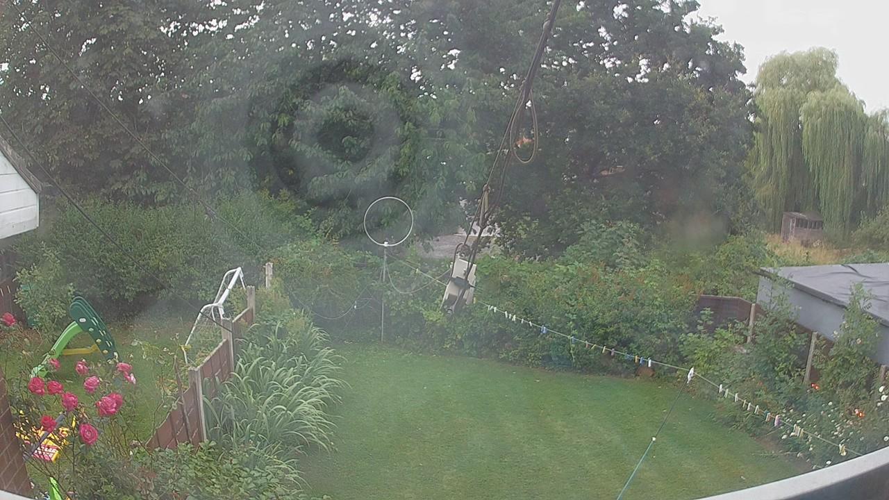 20260801_055228_cam1.jpg