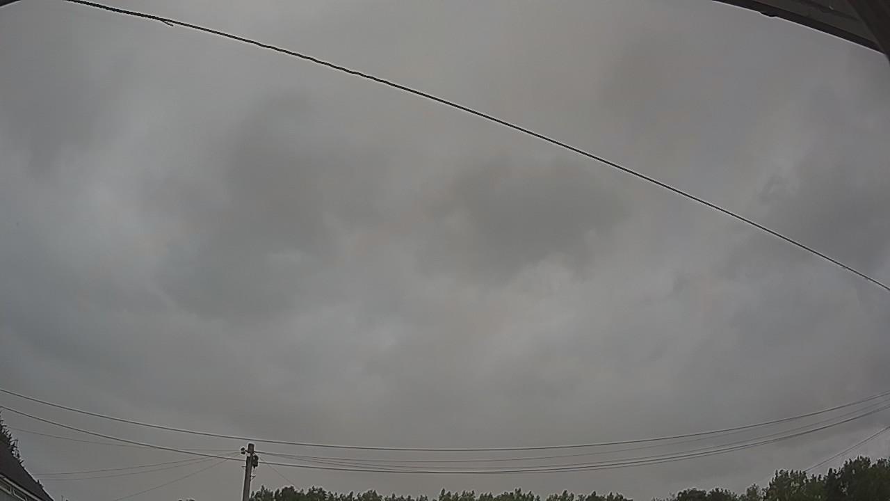 20260801_060133_cam2.jpg