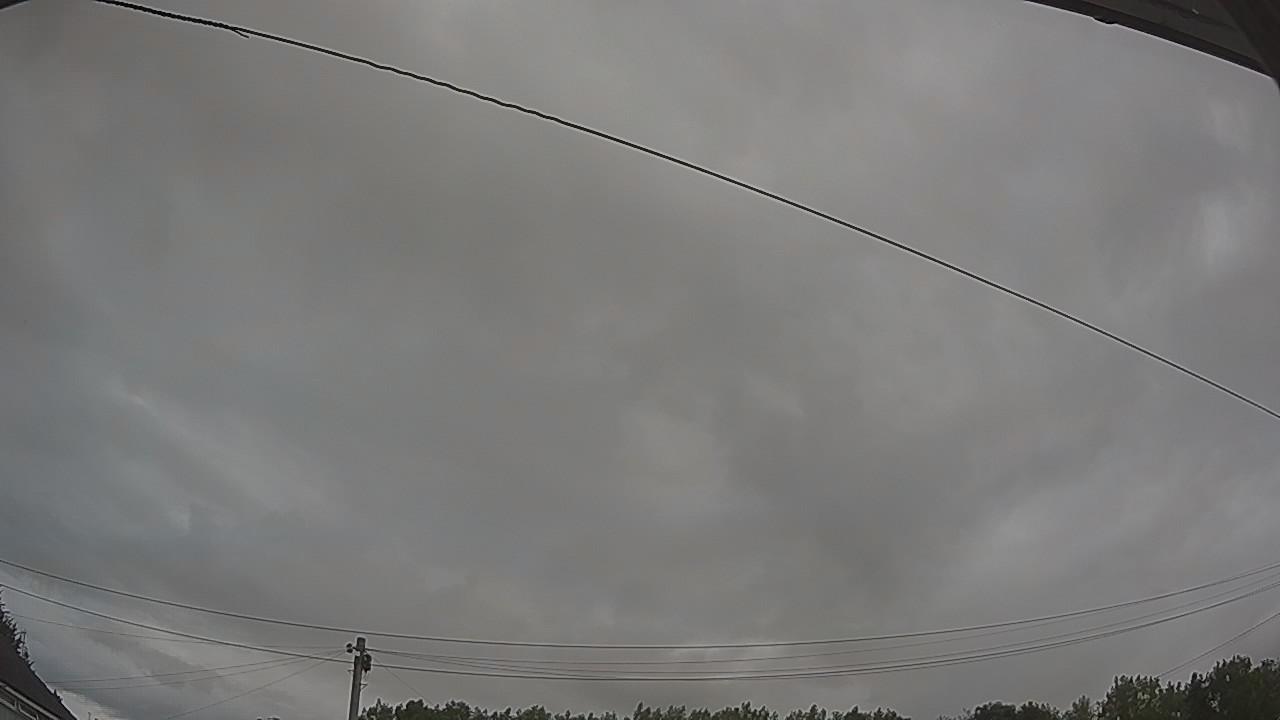 20260801_061924_cam2.jpg