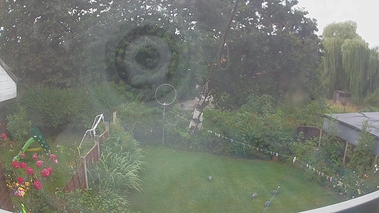 20260801_062350_cam1.jpg