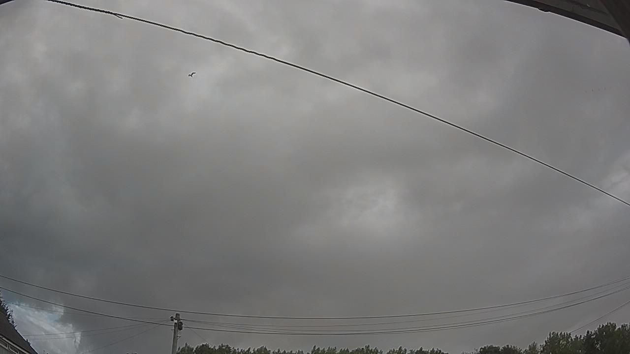 20260801_063254_cam2.jpg