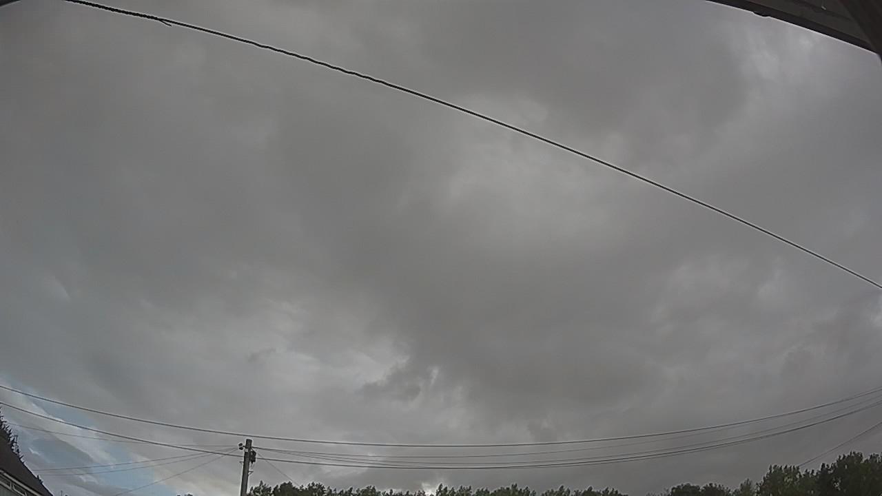 20260801_064208_cam2.jpg