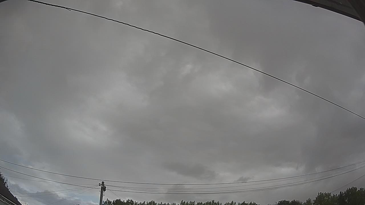 20260801_064644_cam2.jpg