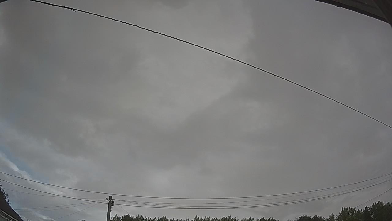 20260801_065120_cam2.jpg