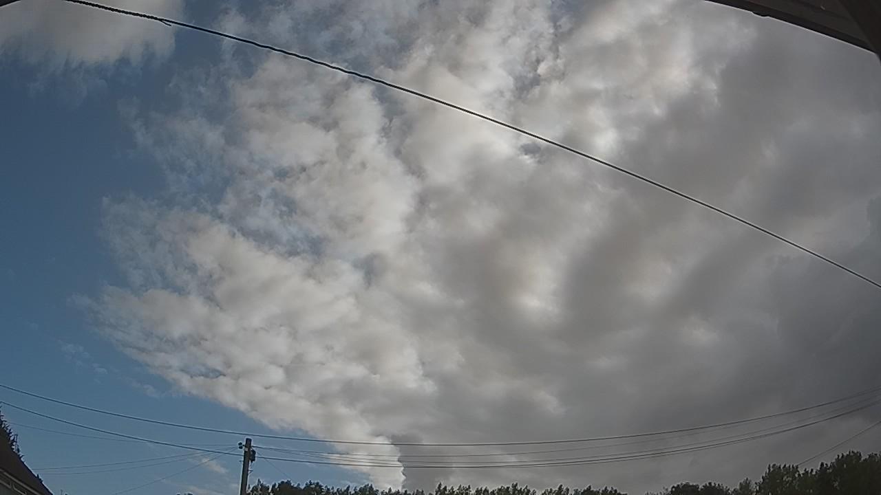 20260801_070006_cam2.jpg