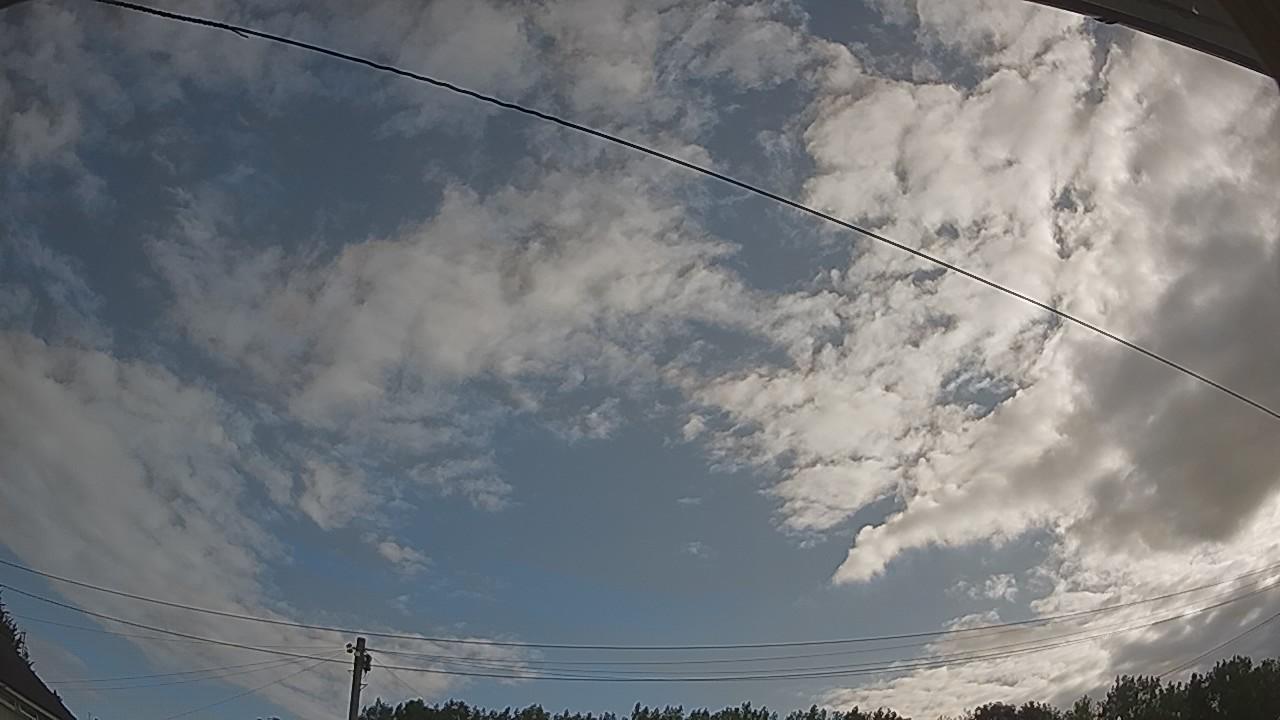 20260801_071233_cam2.jpg