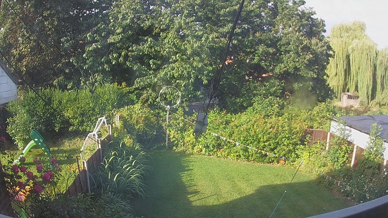 20260801_072500_cam1.jpg