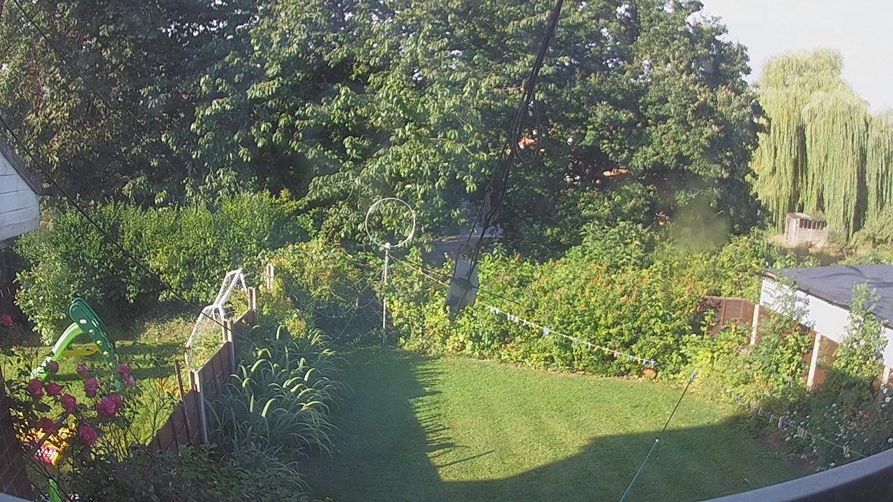20260801_072900_cam1.jpg