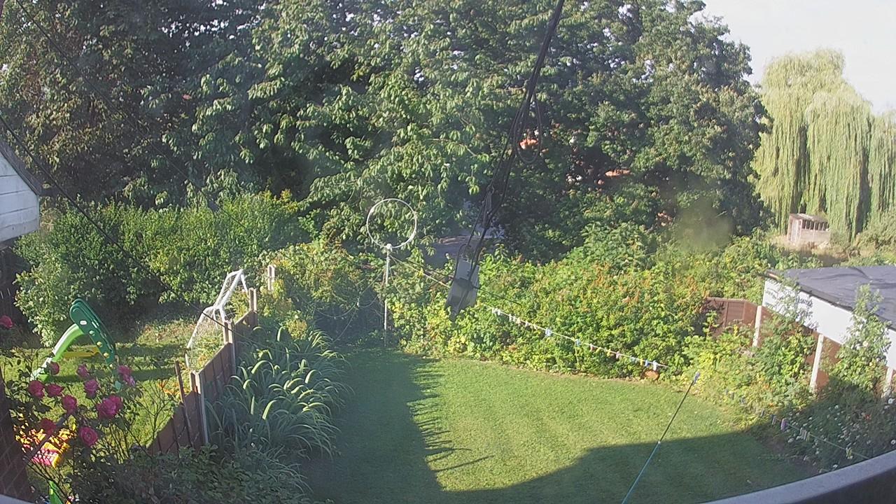 20260801_073300_cam1.jpg