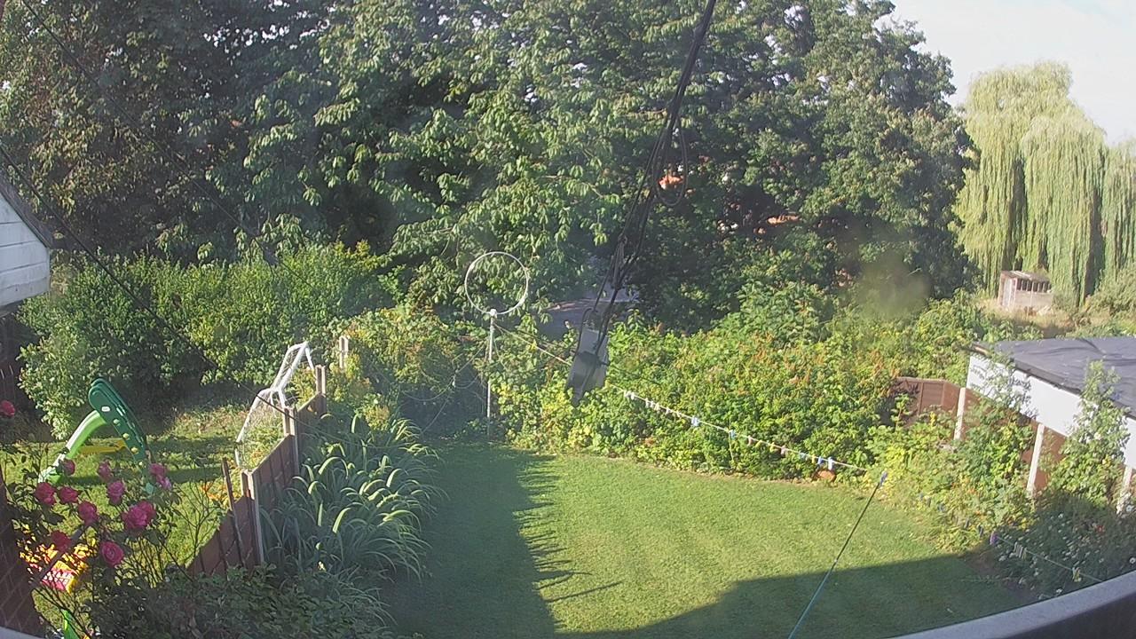 20260801_073700_cam1.jpg