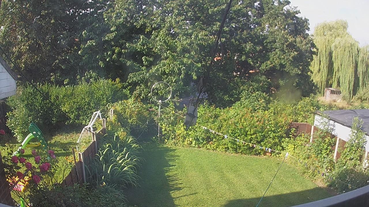 20260801_074900_cam1.jpg