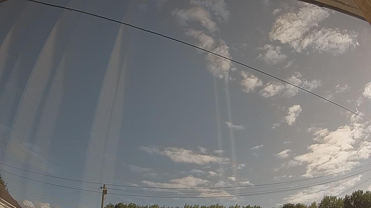 20260801_074901_cam2.jpg
