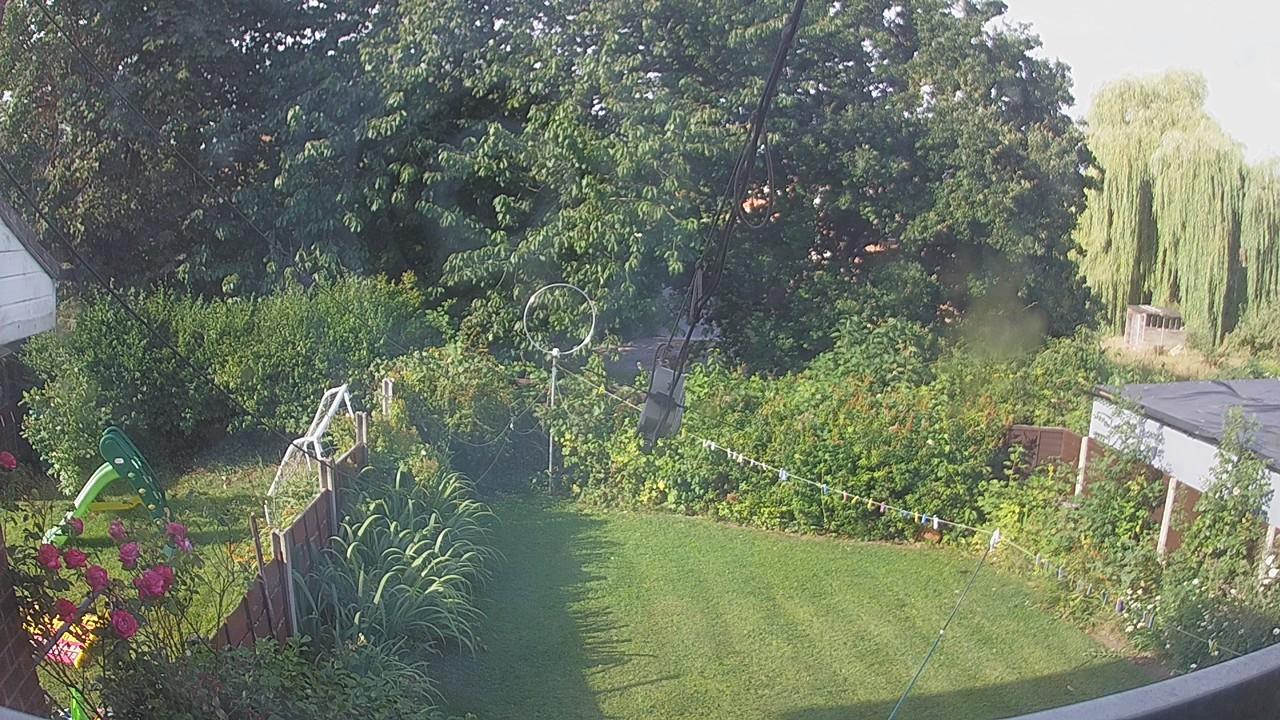 20260801_075259_cam1.jpg