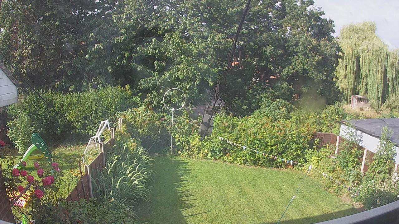 20260801_075659_cam1.jpg