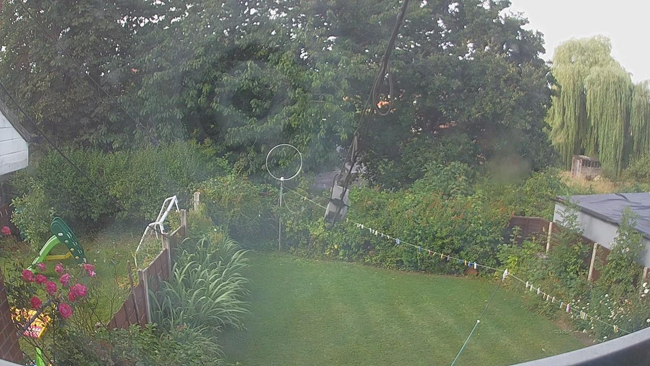 20260801_080050_cam1.jpg