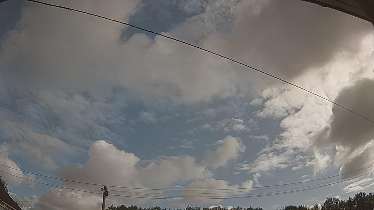 20260801_080051_cam2.jpg