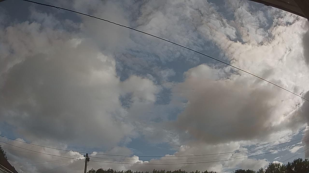 20260801_080442_cam2.jpg